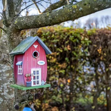 Pavo - 200m From The Sea By Interhome