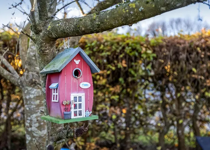 Pavo - 200m From The Sea By Interhome